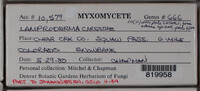 Image Associated With the Occurence